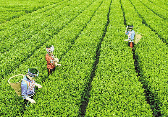 万里茶道河南段——南船北马 汇通天下