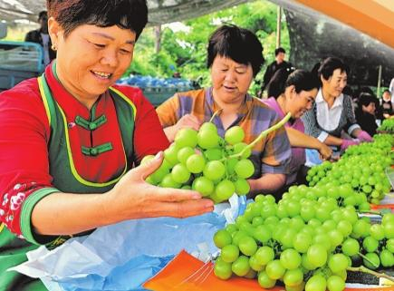 多彩金秋 采撷美好