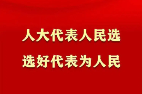 二十大时光·心声丨“五级人大代表”加入“群聊” 学报告话发展