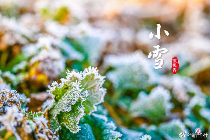 小雪节气没下雪，河南下过雪了为啥不叫初雪？