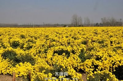 徐济超到太康县宣讲党的二十大精神 调研巩固拓展脱贫攻坚成果同乡村振兴有效衔接工作