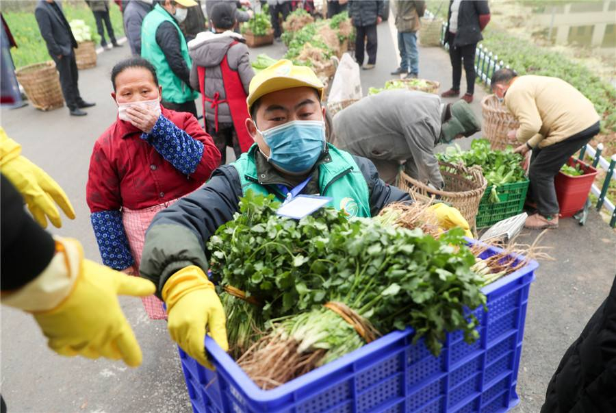 河南省农批、商超、电商平台齐发力 “努力不让一棵菜烂在地里”