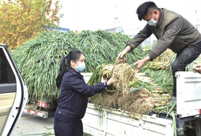 让“滞销菜”变“暖心菜”