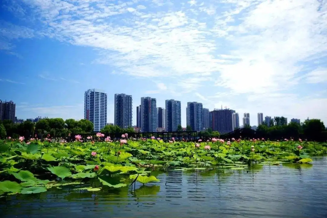 学习贯彻党的二十大精神河南省委宣讲团报告会在平顶山市举行