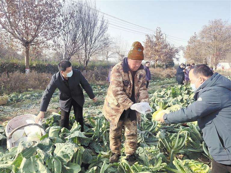 关爱你我他（她）·温暖千万家丨助农纾困 河南民营经济界在行动