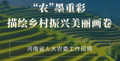  “农”墨重彩描绘乡村振兴美丽画卷 河南省人大农委工作回顾