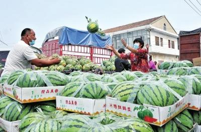 河南不只有“麻花村” 还有“皮筋村”“西瓜镇”……