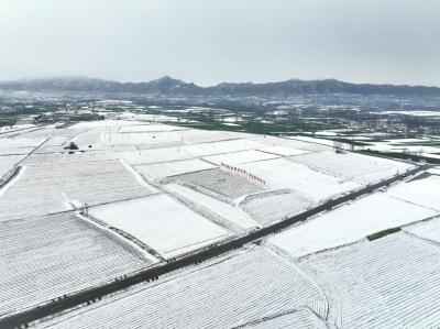 预计可以缓解4000万亩小麦旱情！这场“及时雨”帮河南节省10亿元灌溉费