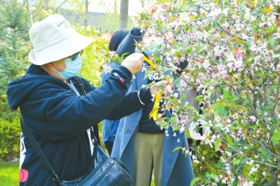 海葬、树葬、花坛葬、壁葬……郑州已有2000多位逝者选择让生命“终归”自然