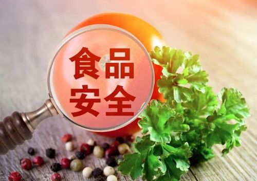 河南省政府食品安全委员会全体会议暨全省食品安全工作电视电话会议召开