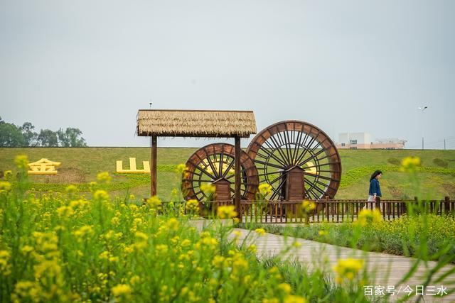 苏晓红携调研组赴南阳市，专题调研乡村旅游高质量发展相关工作