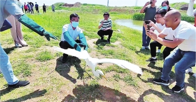 河南省野生动物保护中心举行野生动物放归大自然活动