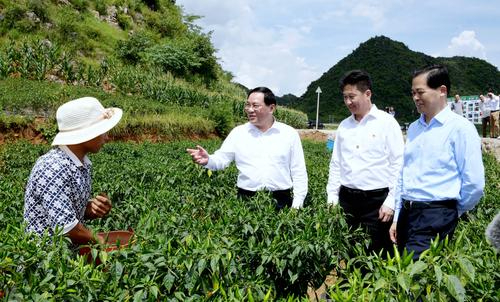 学思想 强党性 重实践 建新功丨 高质量巩固拓展脱贫攻坚成果