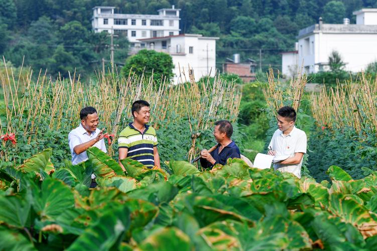 以监督实效擦亮金字招牌——纪检监察先进集体的工作新气象