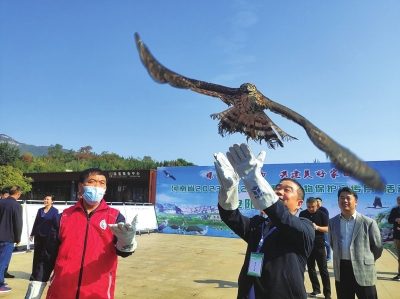 河南启动野生动物保护宣传月活动 67只野生动物放归自然