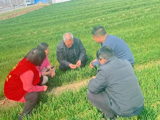 中牟县广惠街街道：送技到田间 农民乐开颜